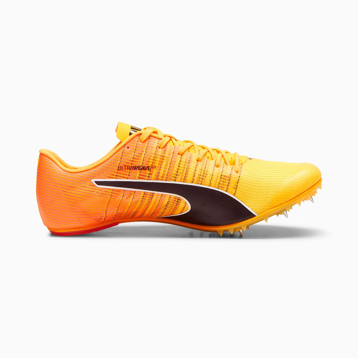 Sun Stream-Sunset Glow-Puma Black