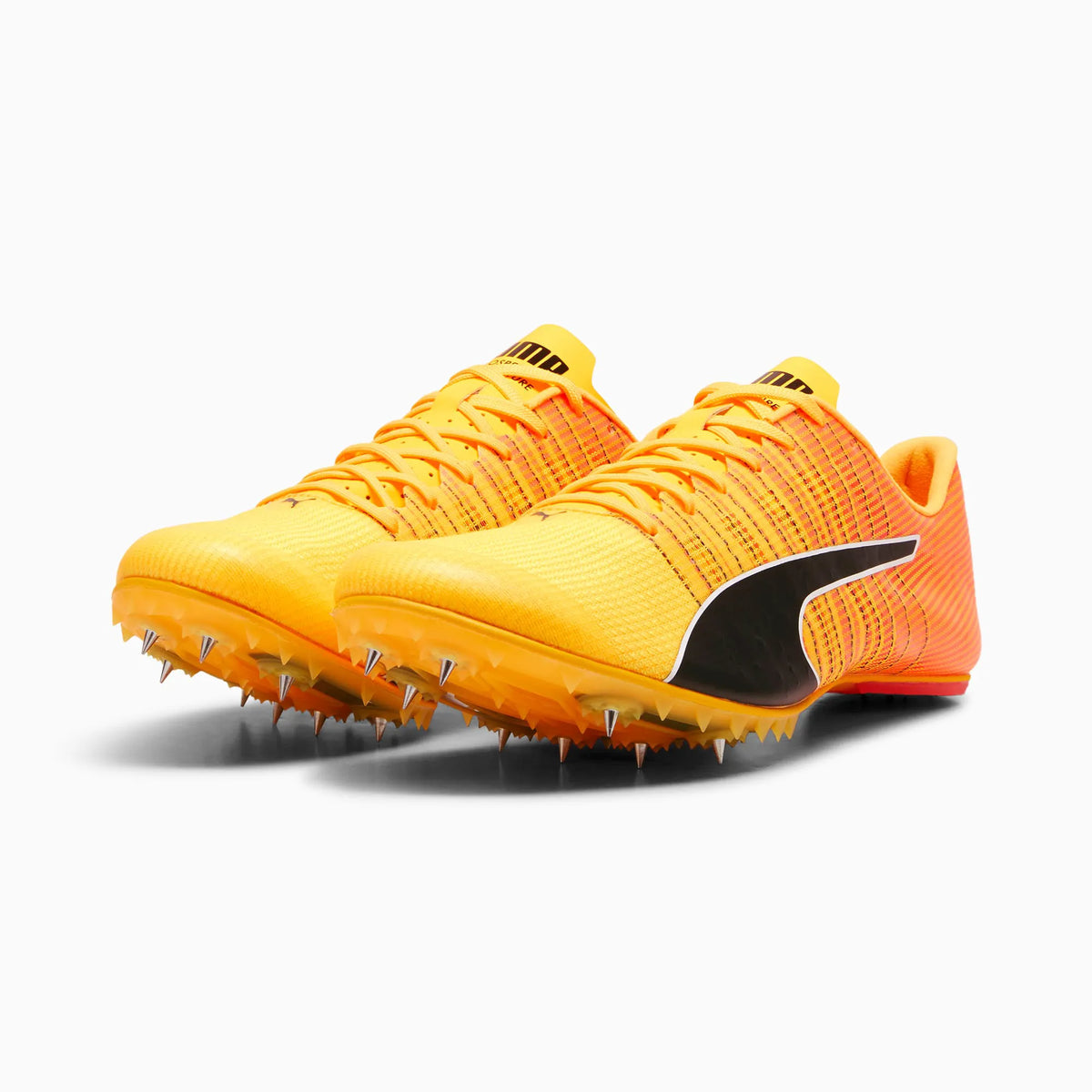 Sun Stream-Sunset Glow-Puma Black