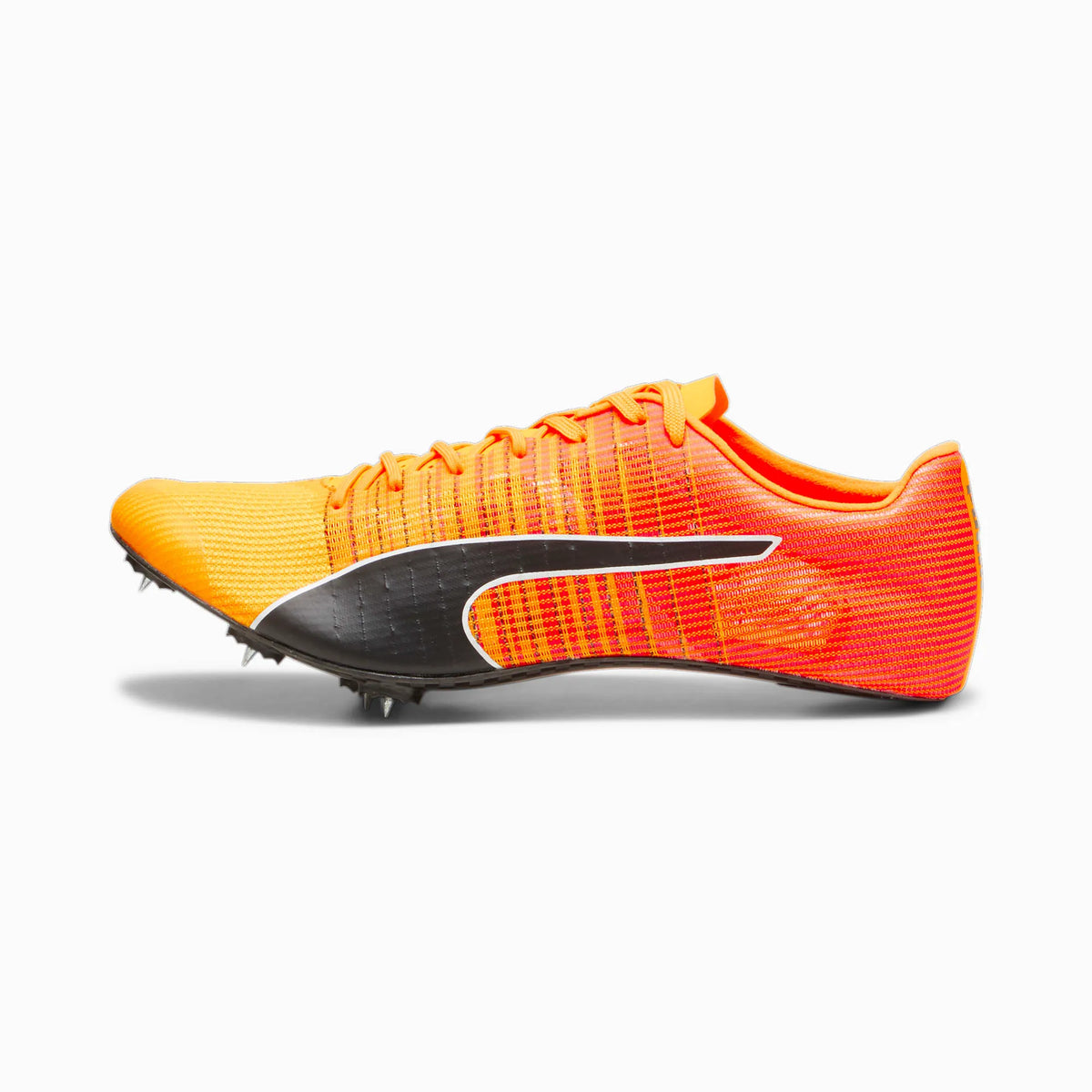 Sun Stream-Sunset Glow-Puma Black
