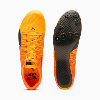 Sun Stream-Sunset Glow-Puma Black