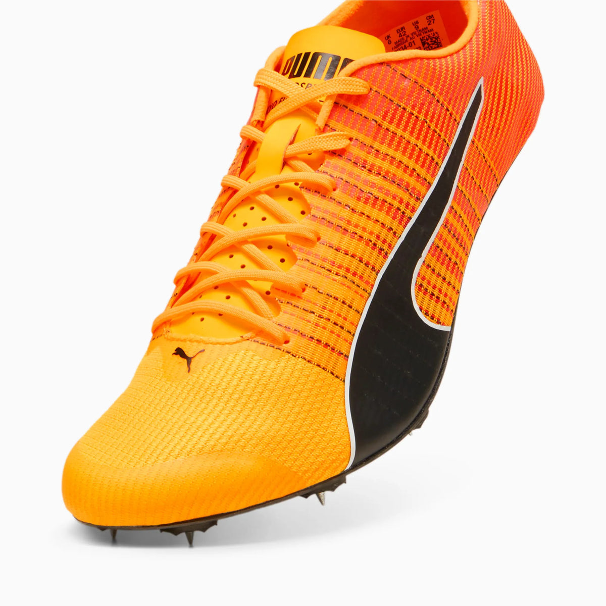 Sun Stream-Sunset Glow-Puma Black