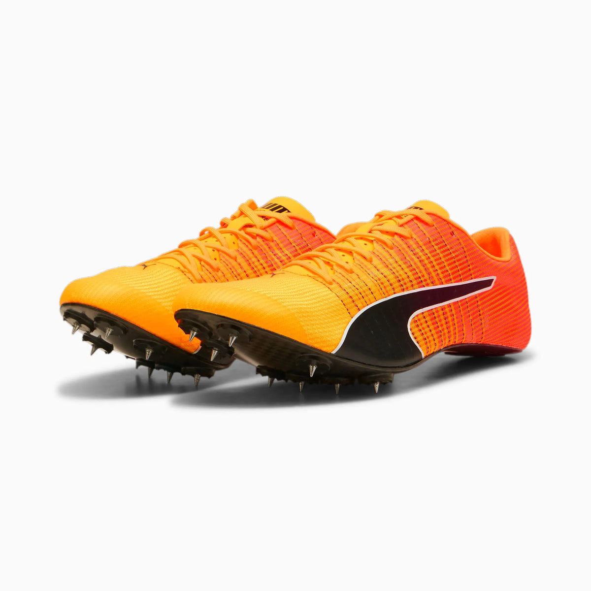 Sun Stream-Sunset Glow-Puma Black