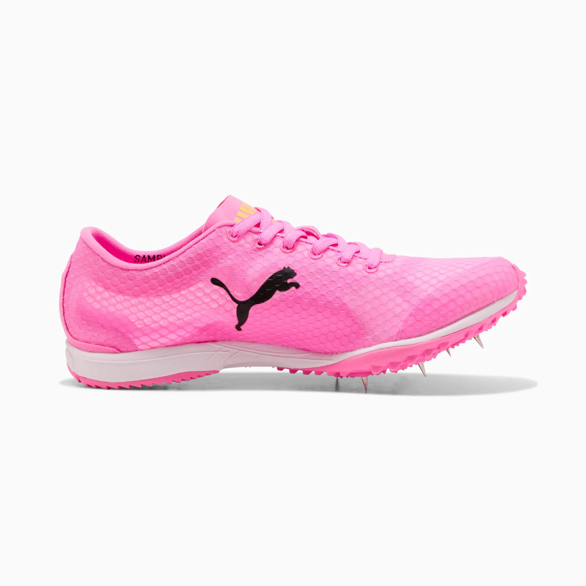 Poison Pink-Sun Stream-PUMA Black