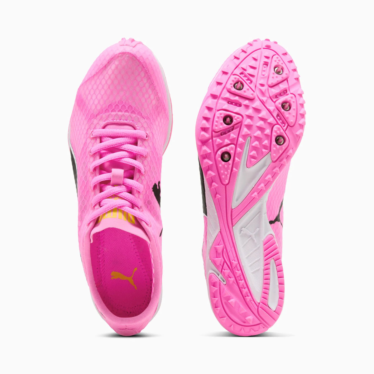 Poison Pink-Sun Stream-PUMA Black