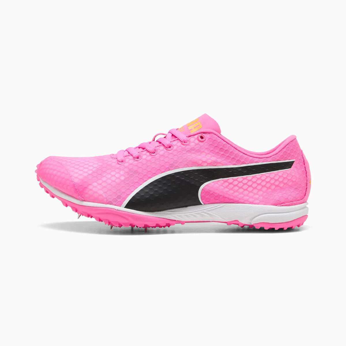Poison Pink-Sun Stream-PUMA Black