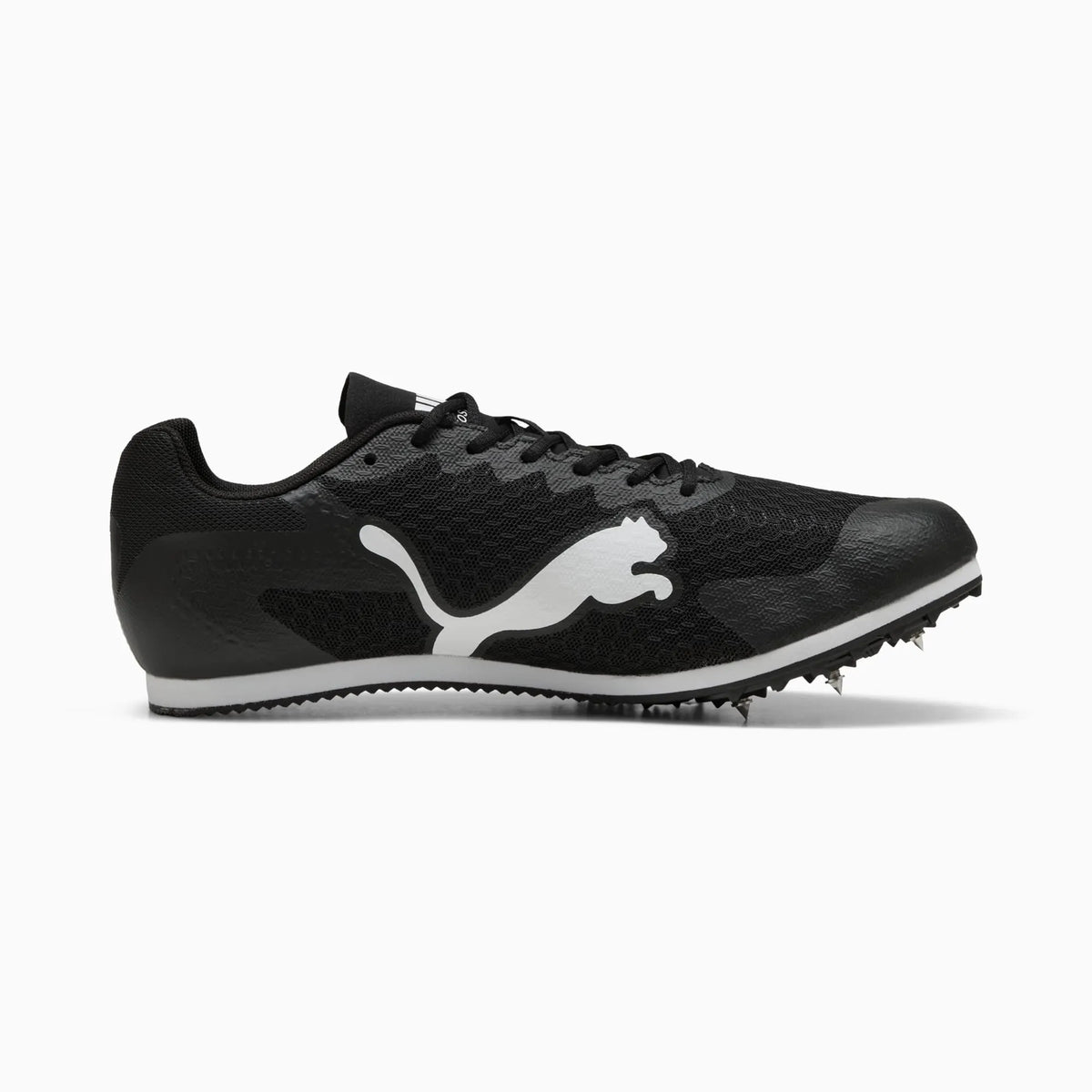 PUMA Black-PUMA White