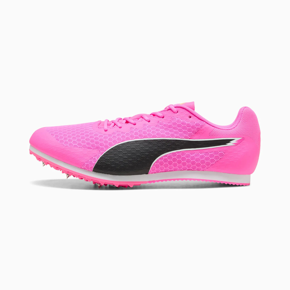 Poison Pink-Sun Stream-PUMA Black